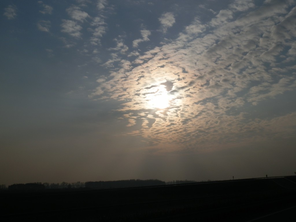 P2060004