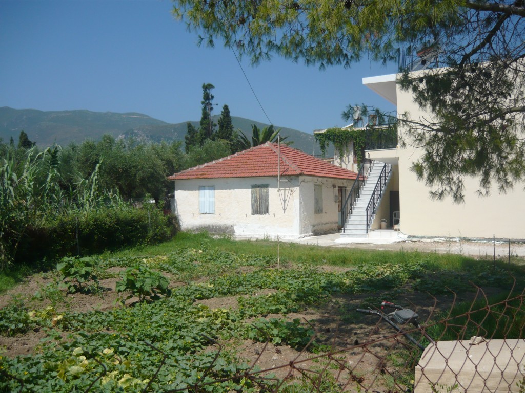 P1000350