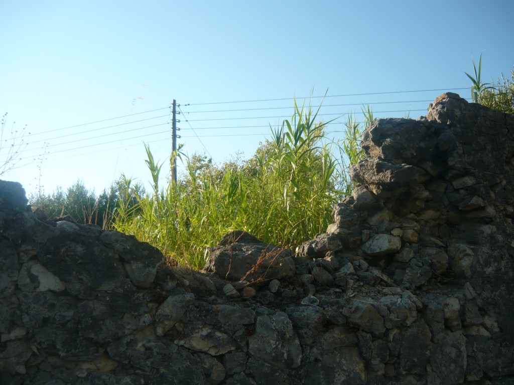 P1010557