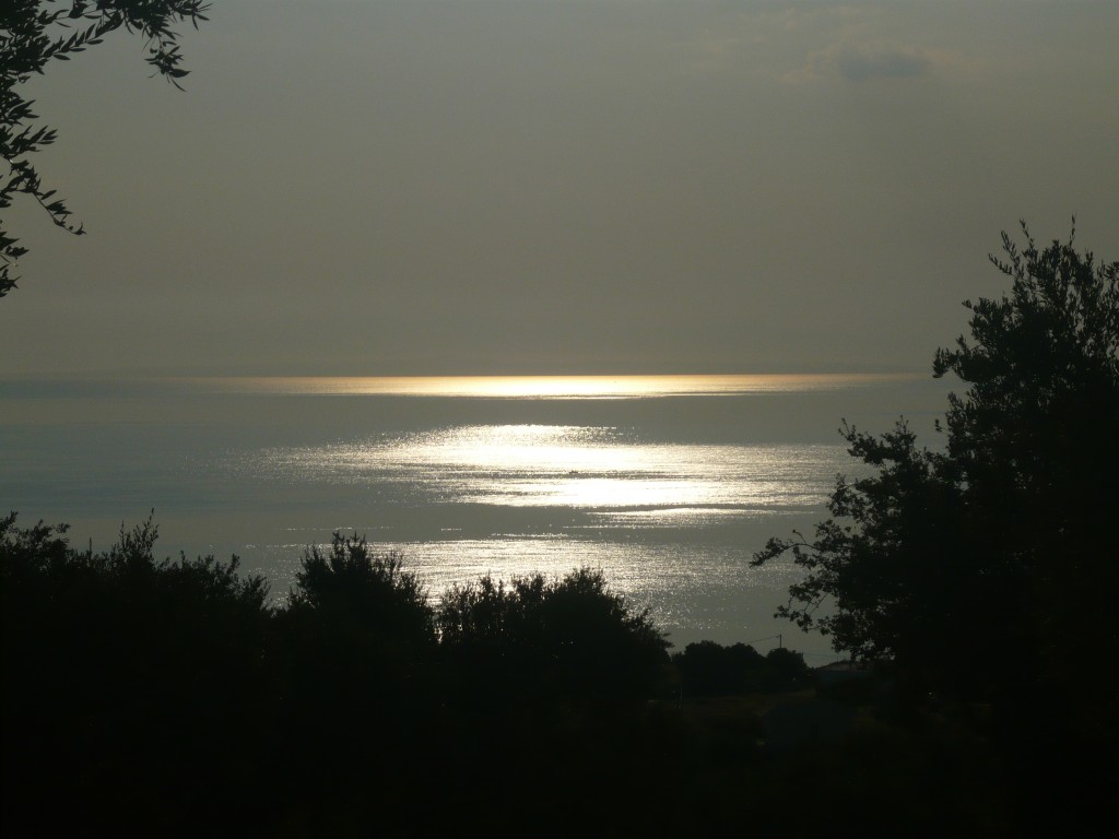 P1010639