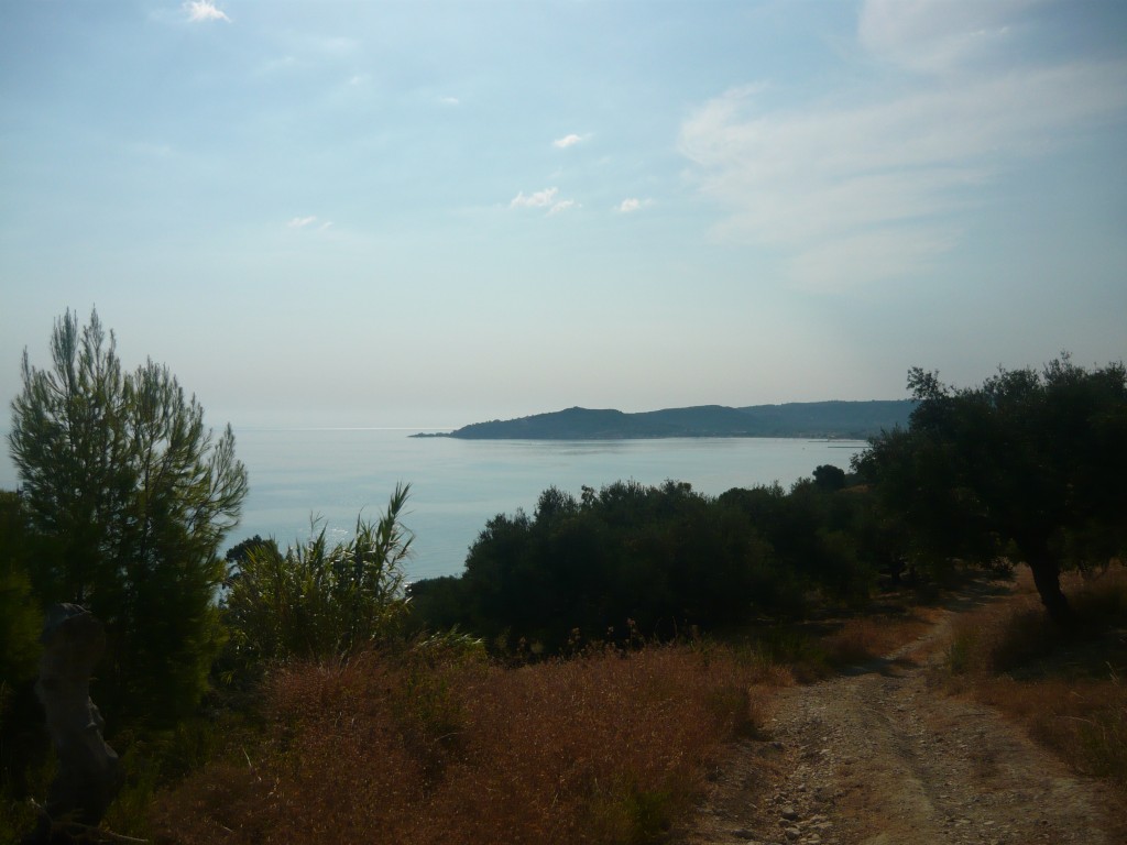 P1010654