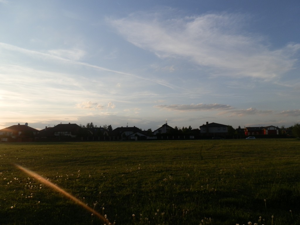 P5110010