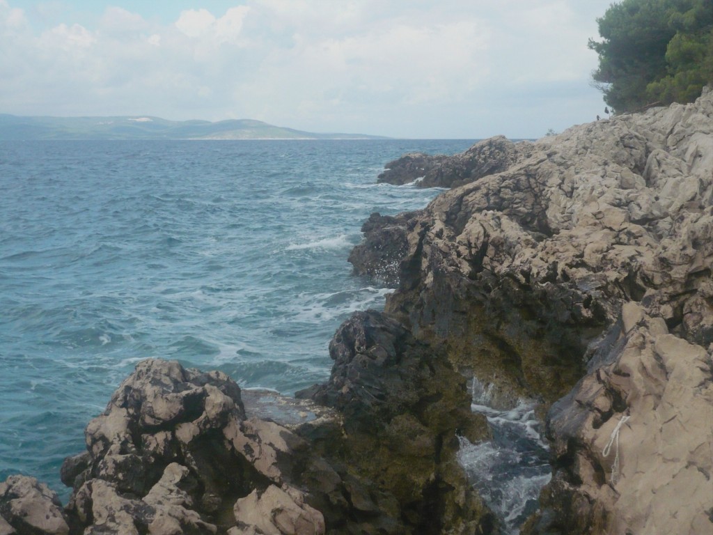 P1010449
