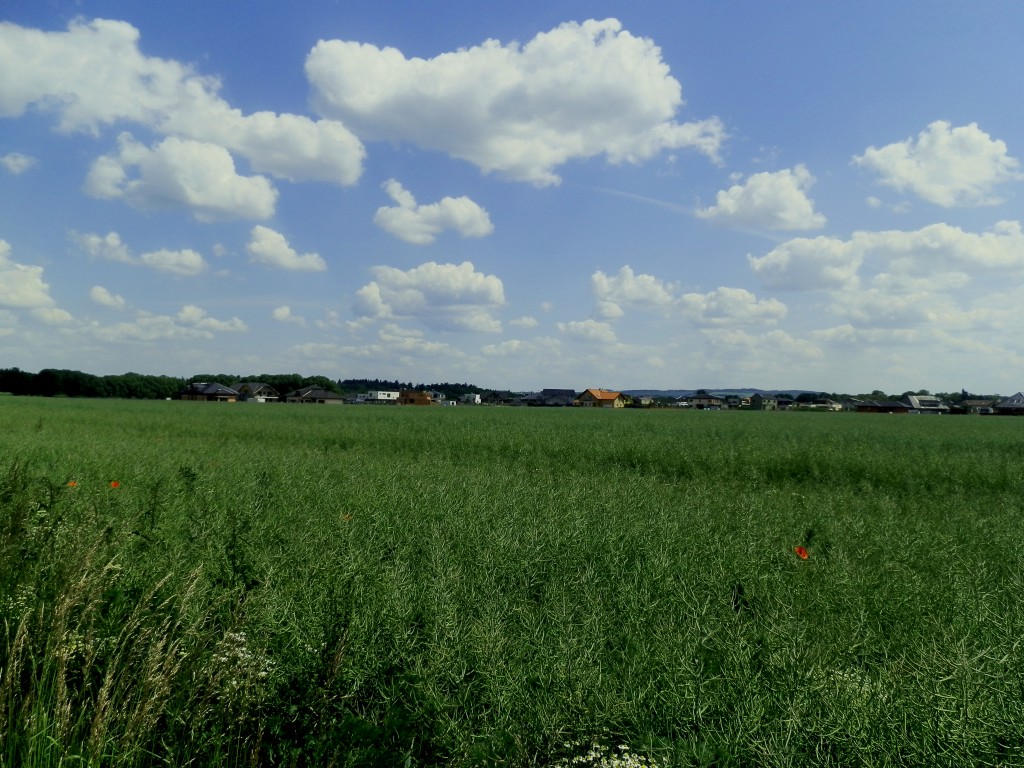 P5270014