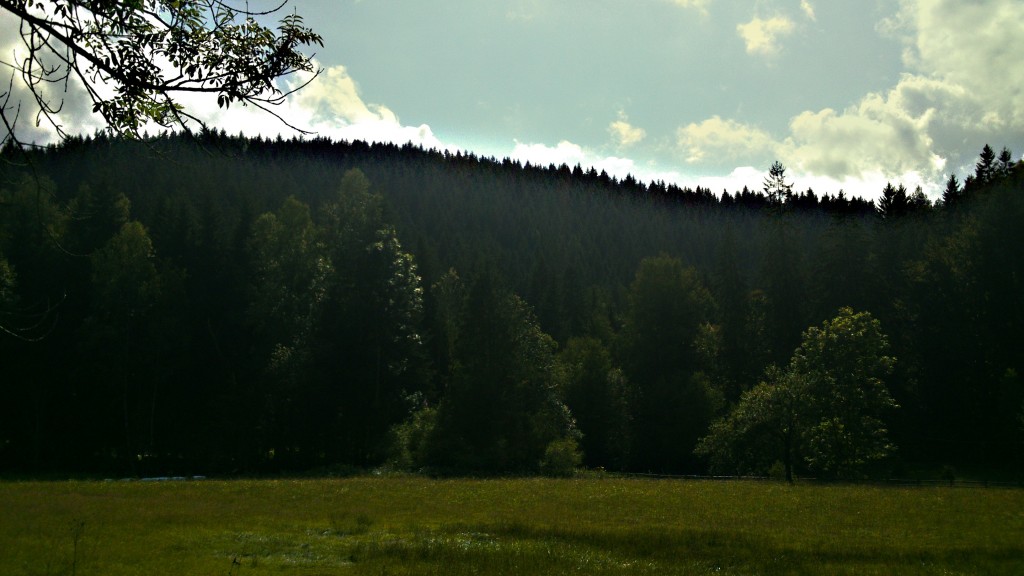 DSC_0040 (2)