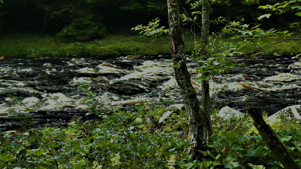 DSC_0053 (2)