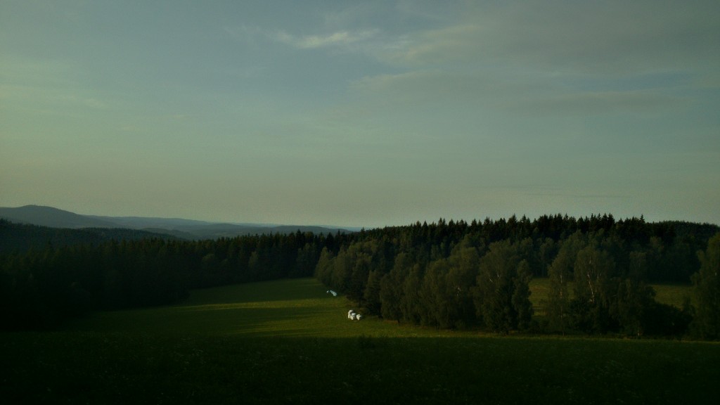 DSC_0079 (2)