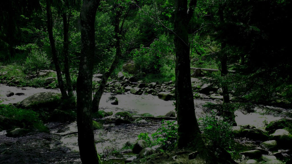 DSC_0088 (2)