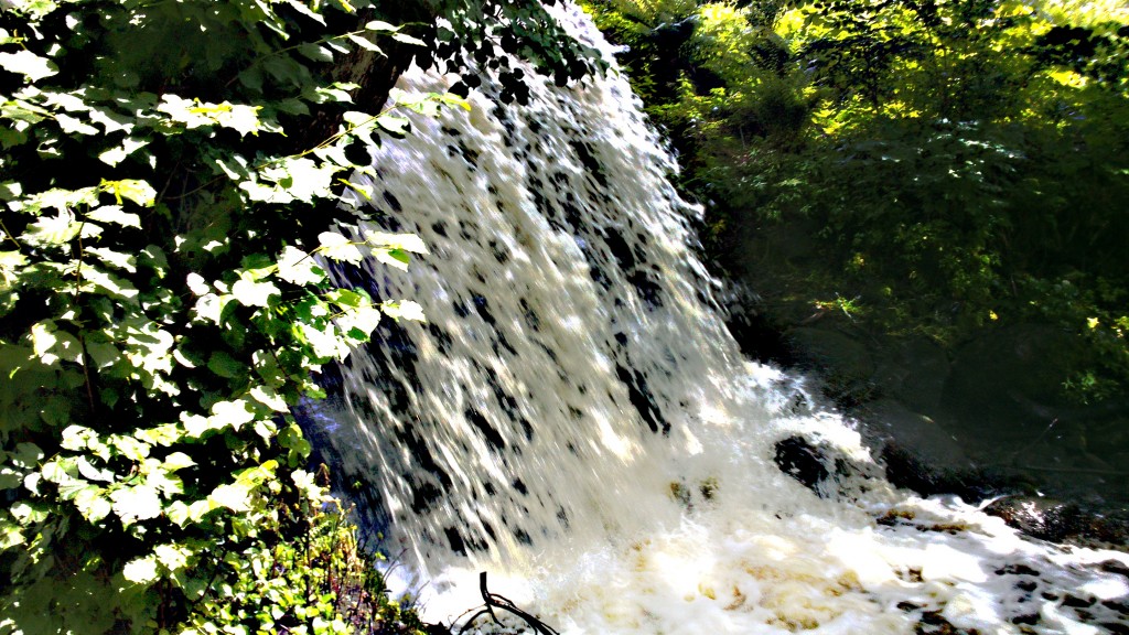 DSC_0089 (2)