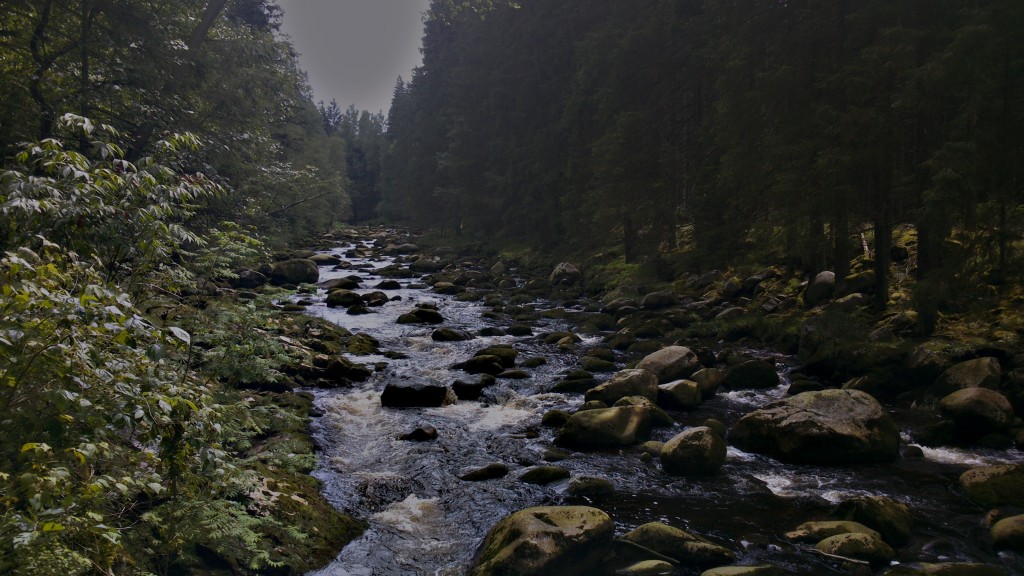 DSC_0094 (2)